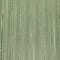 Green swatch