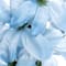 Blue swatch