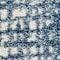 Blue swatch