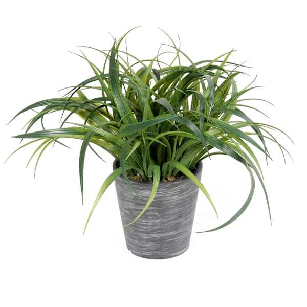 Grass Plant Arrangement with Planter, 8"