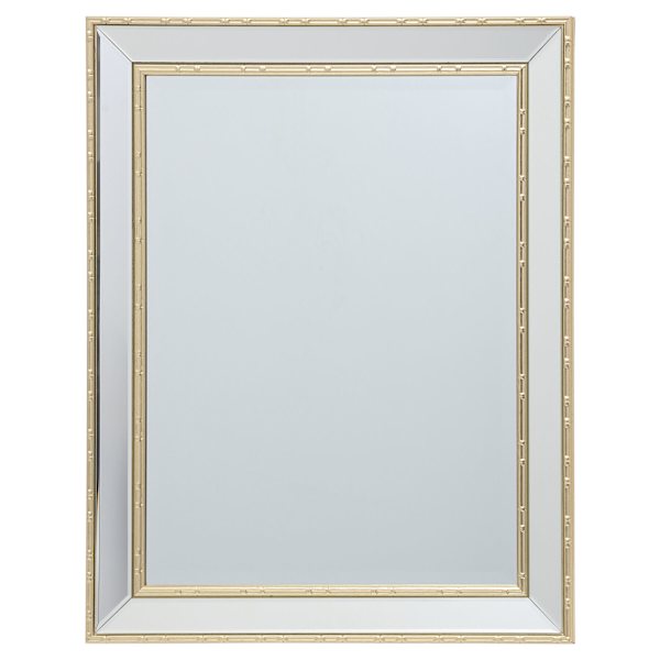 Gold Bamboo Trimmed Beveled Rectangle Wall Mirror, 22x28
