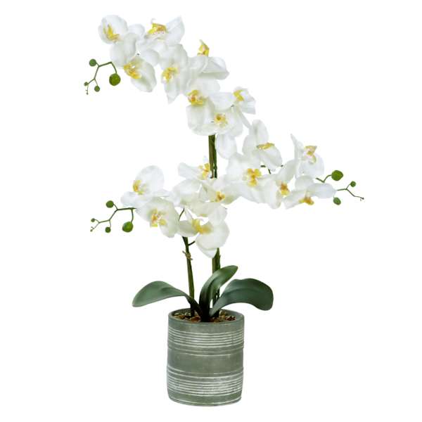 Orchid Flower with Ceramic Planter, 27"