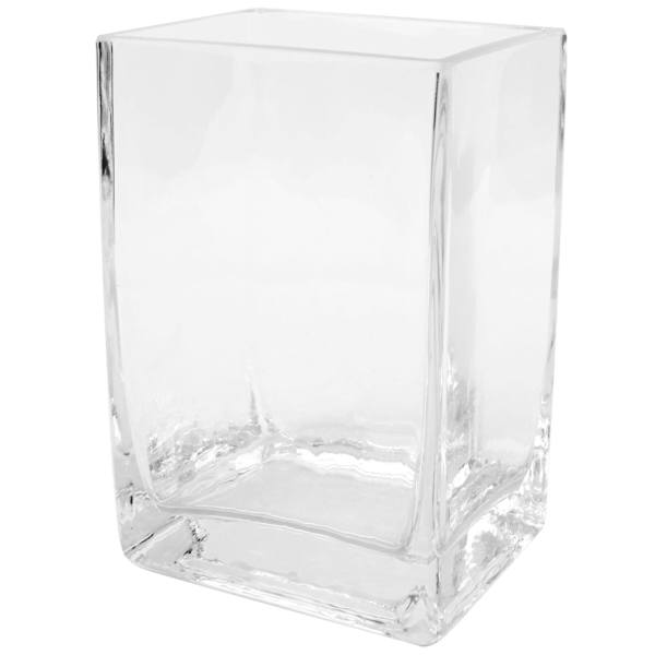 Clear Glass Cube Vase, 6"