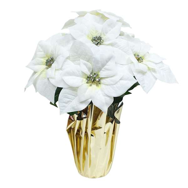 White Poinsettias in Gold Foil Pot, Large