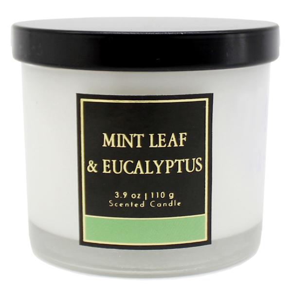 Mint Leaf & Eucalyptus Scented Jar Candle, 3.9oz