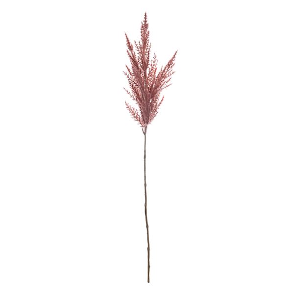 Dark Pink Pampas Grass Stem, 32"