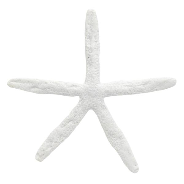 White Star Fish, 8"