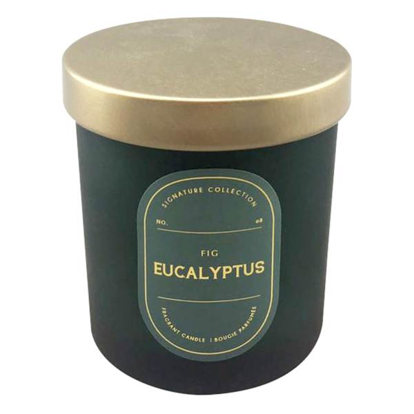 Fig Eucalyptus Scented Jar Candle, 5.5oz