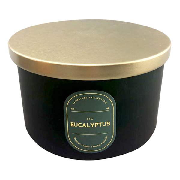 Fig Eucalyptus Scented Jar Candle, 16oz