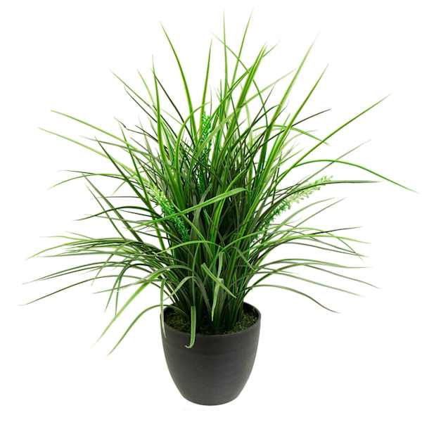 Grass Plant with Black Planter, 20"