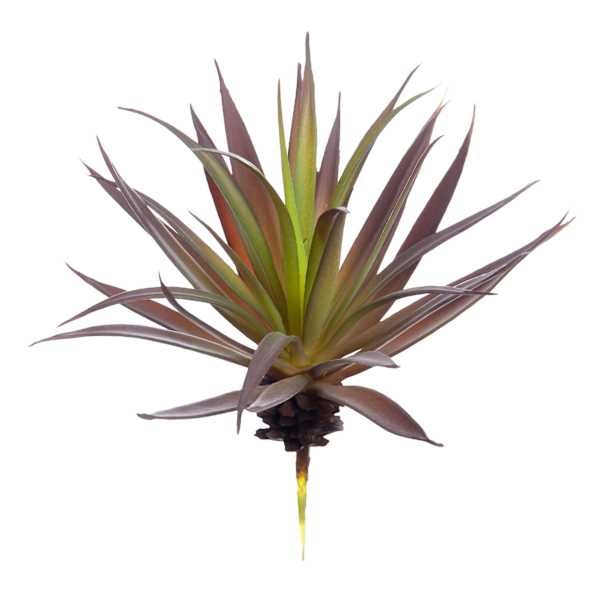 Green & Purple Aloe Pick, 7"