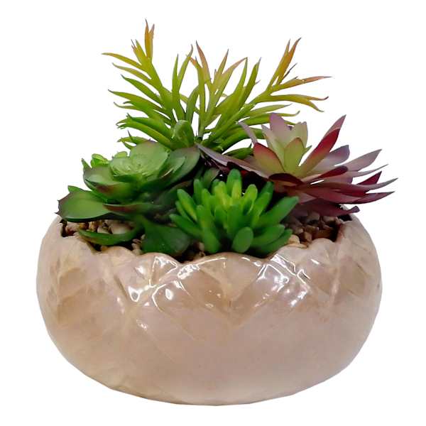 Succulent Mix with Glossy Ceramic Planter, 8"
