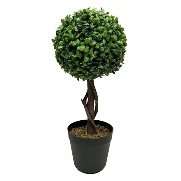 Boxwood Ball Topiary Plant in Black Planter, 17"