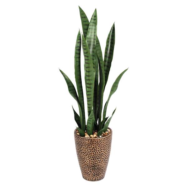 Snake Plant with Metal Planter, 33"