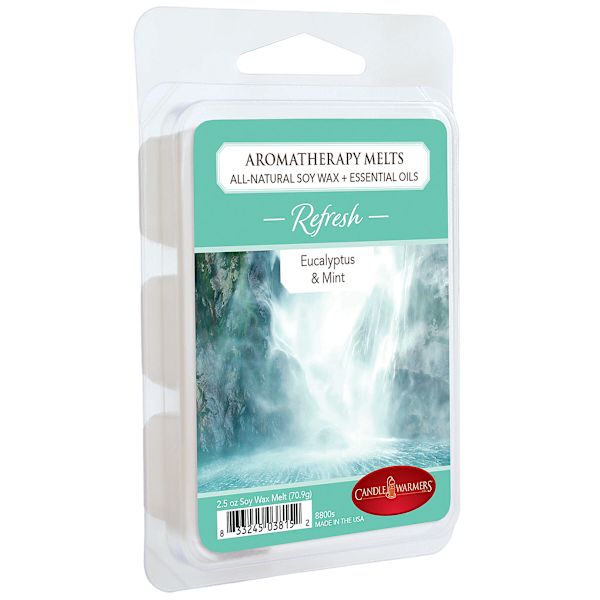 Eucalyptus & Mint Scented Wax Melts, 2.5oz