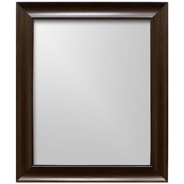 Sophia Mocha Framed Rectangle Wall Mirror, 21x25