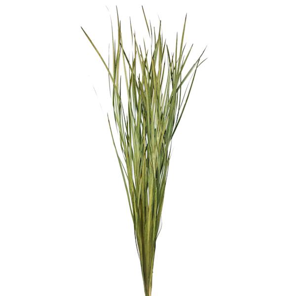 Green Magnolia Flax Grass Bundle, 42"