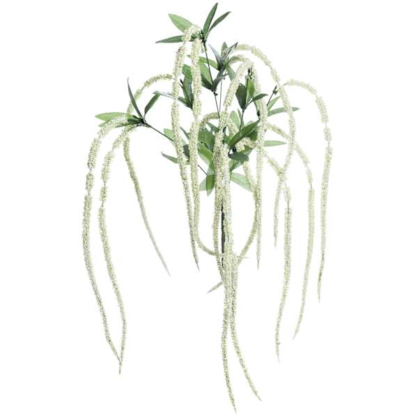 Amaranthus Hanging Bush, 32"