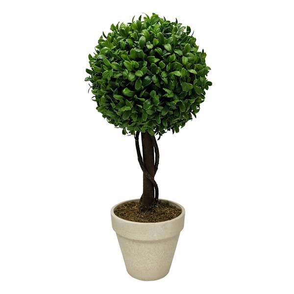 Boxwood Ball Topiary Plant in White Planter, 17"