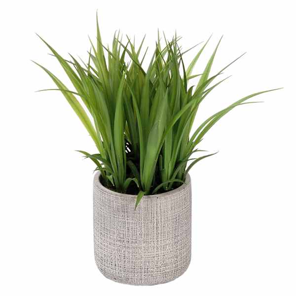 Grass Plant with Grey Planter, 8"