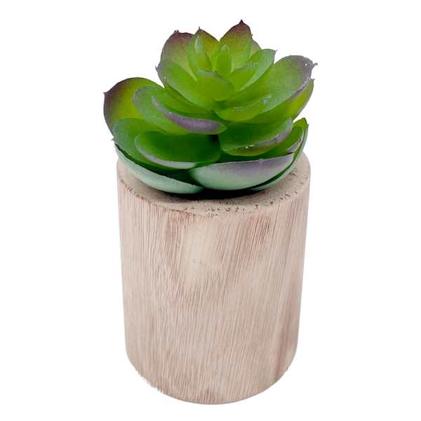Lotus with Brown Wooden Planter, 4.5"