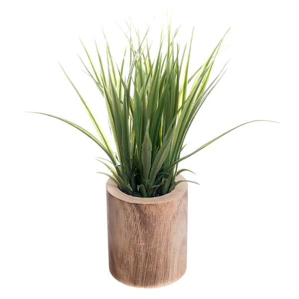 Grass Bundle in Wooden Pot, 9"