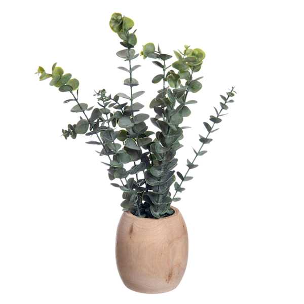 Eucalyptus Spray in Wooden Pot, 16"