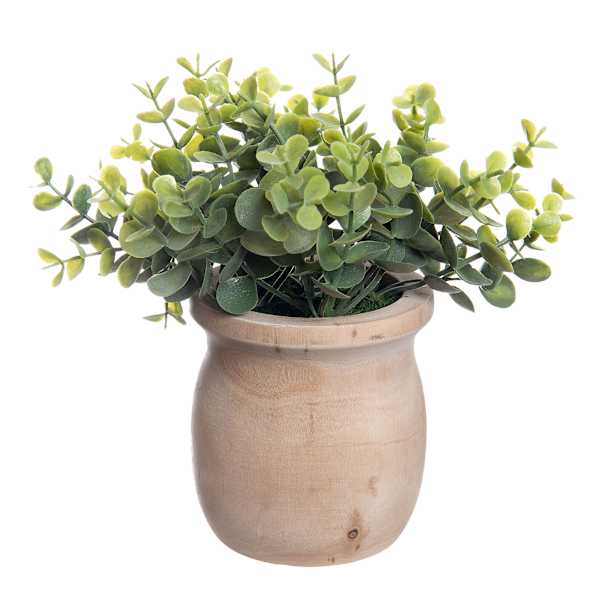 Eucalyptus Spray in Wooden Pot, 9"