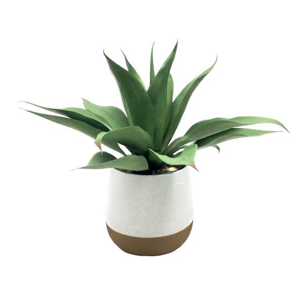 Honeybloom Greenery Plant with White Planter, 14"