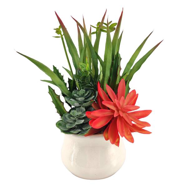 Succulent Garden with White Planter, 13"