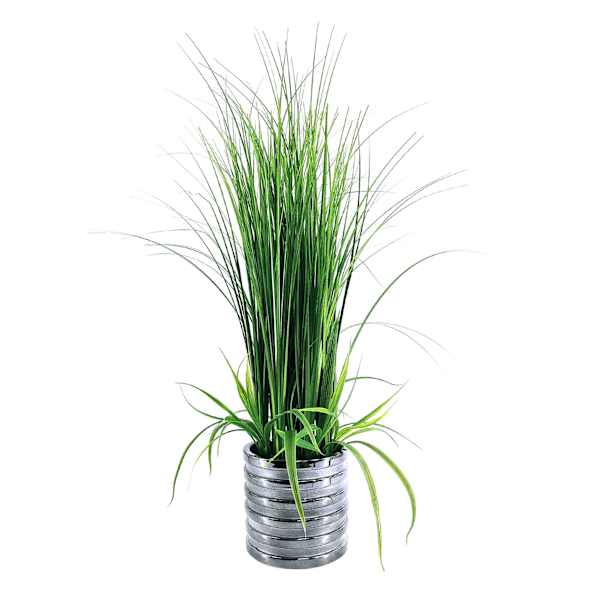 Grass Plant with Silver Ribbed Planter, 29"