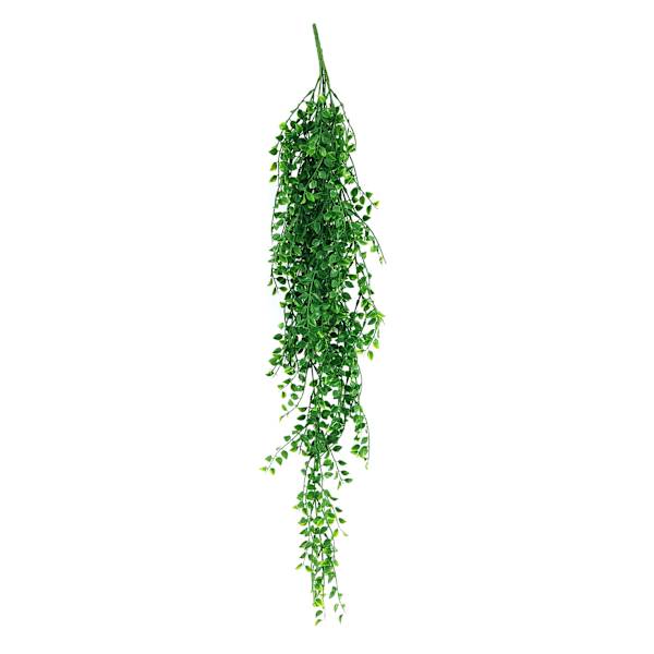 Tea Leaf Hanging Bush, 35"