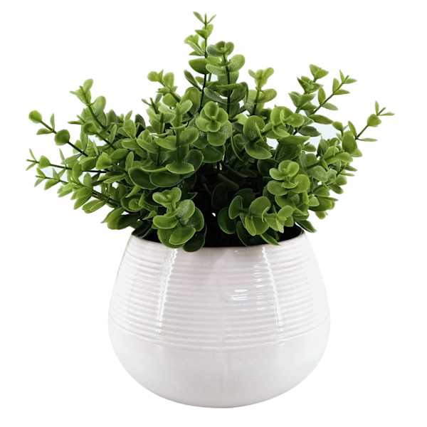 Eucalyptus Plant with White Planter, 11"