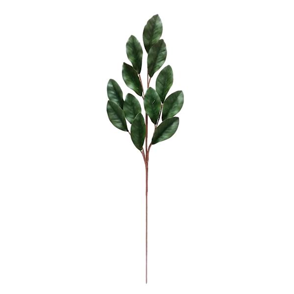 Green Magnolia Leaves Stem, 34"