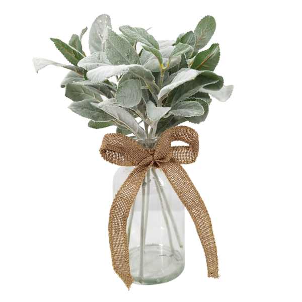 Green Lambs Ear Plant with Glass Vase, 14"