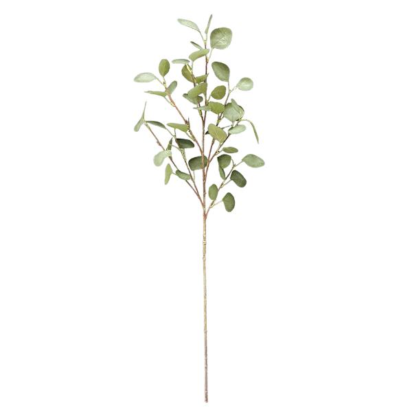 Eucalyptus Stem, 35"