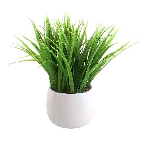 Ty Pennington Green Grass Bundle with Ceramic Planter, 10"