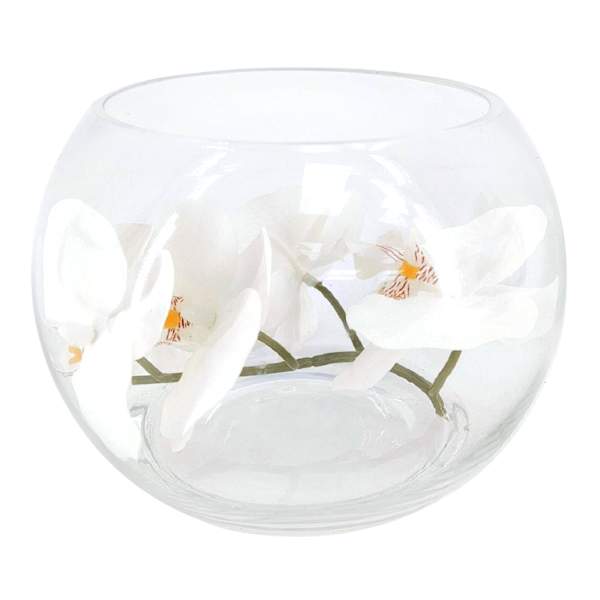 Laila Ali White Orchid in Glass Bowl, 8"