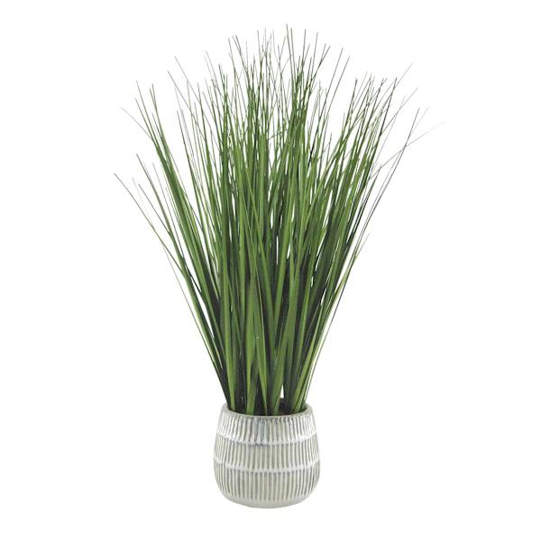 Grass Plant with Ceramic Planter, 19.5"