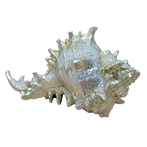 Ty Pennington Metallic Whelk Shell, 5"