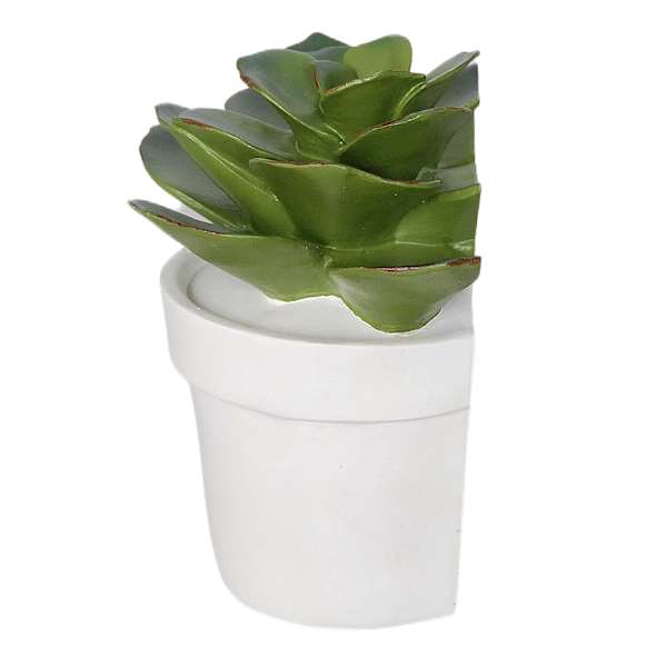1-Piece Succulent Bookend, 6"