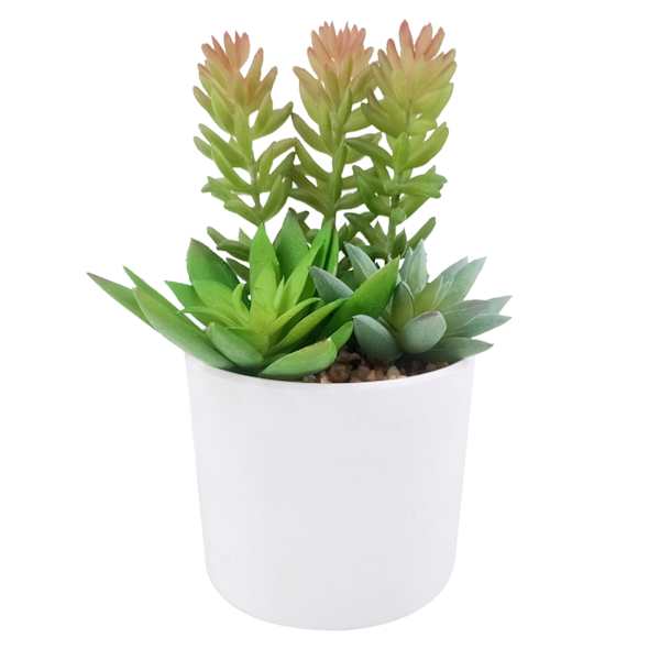 Succulent Arrangement in Melamine Pot, 5.75"