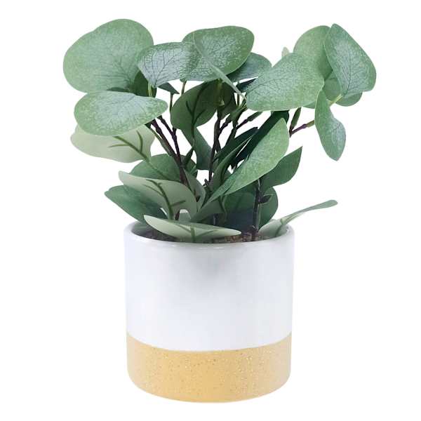 Eucalyptus Arrangement in Two-Toned Pot, 17"