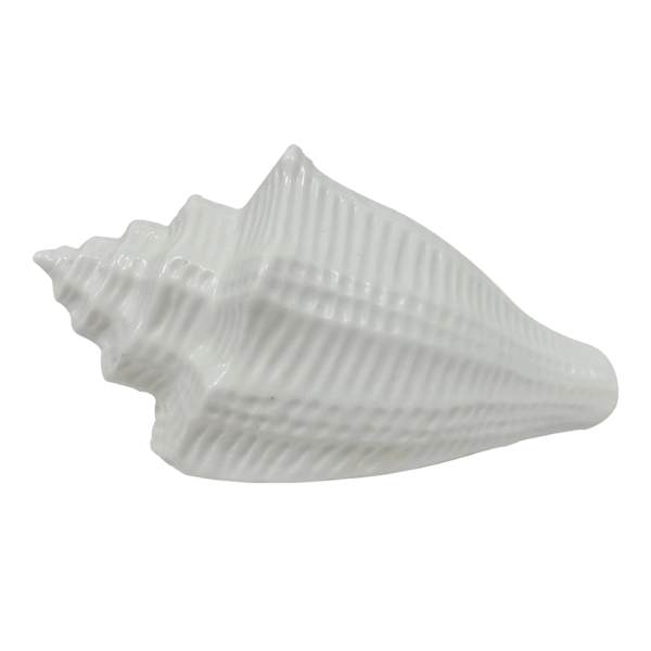 Ty Pennington White Ceramic Conch Figurine