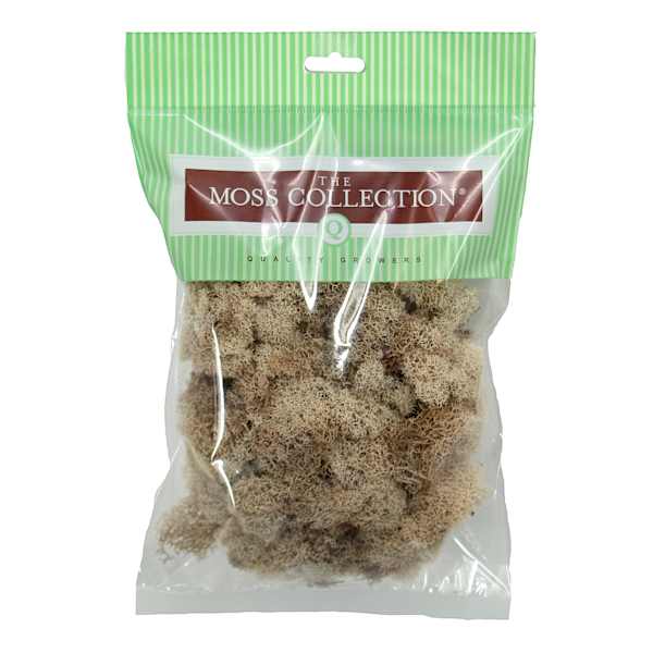 Preserved Natural Reindeer Moss