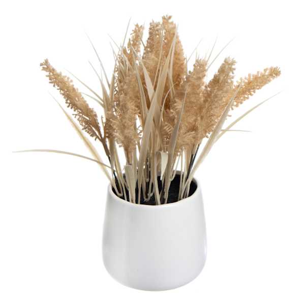 Honeybloom Brown Dog Tail in Ceramic Pot, 11"