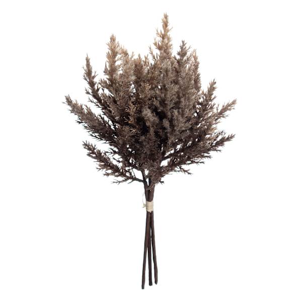 Brown Pampas Grass Bundle, 14"