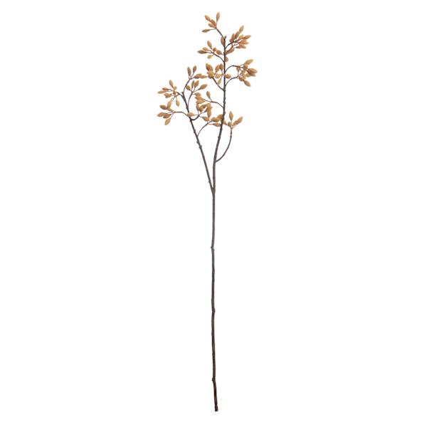 Natural Firmiana Simplex Spray, 30"