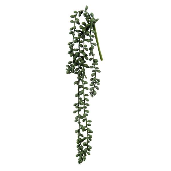 Green Nertera Berry Stem, 13.8"