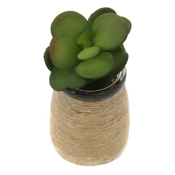 Jade in Glass Vase, 4.75"